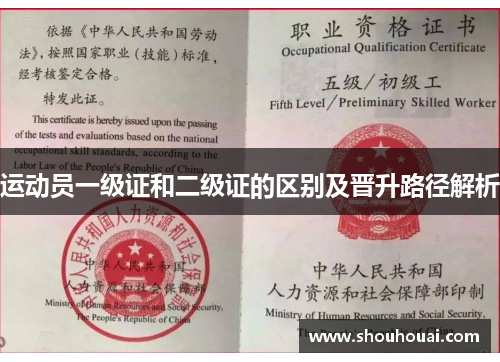 运动员一级证和二级证的区别及晋升路径解析