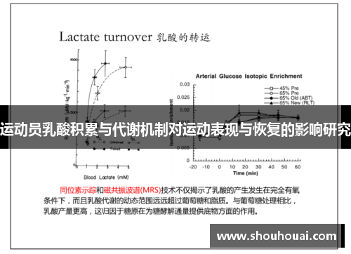 运动员乳酸积累与代谢机制对运动表现与恢复的影响研究