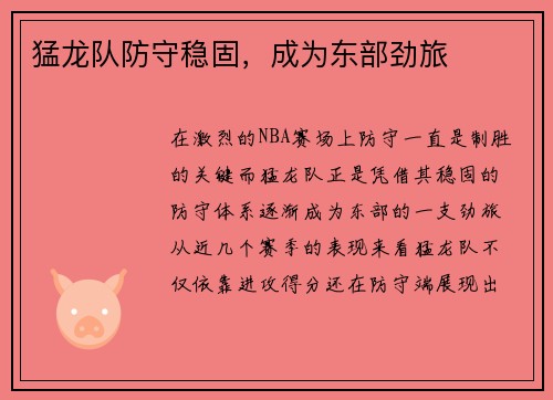 猛龙队防守稳固，成为东部劲旅
